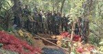 lz719