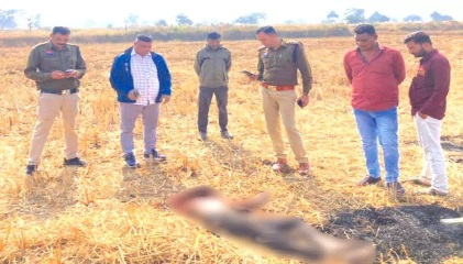 बहन के प्रेमी को मारकर जलाया, छपौरा गांव हत्याकांड मामले में खुलासा