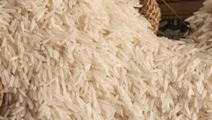 18 करोड़ की चावल में फफूंद पड़े, गोदाम प्रभारी फरार