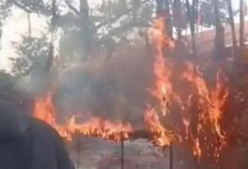मन्नत धागों और चुनरी में लगी आग, मंदिर परिसर में हड़कंप