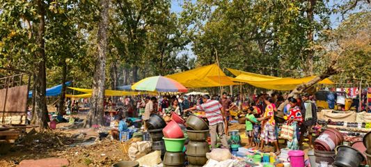 विशेष लेख- नक्सल मुक्त बीजापुर में विकास की नई दस्तक