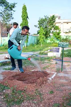 प्रभारी सचिव अंकित आनंद ने ‘एक पेड़ माँ के नाम’ अभियान के तहत किया पौधरोपण