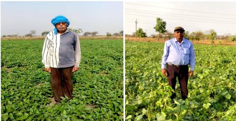 बेमेतरा जिले में दलहन के रकबे में चार गुना की वृद्धि, विकासखंड नवागढ़ के ग्राम हरदी के किसान इंद्रकुमार