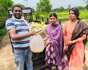 योजनाओं का संबल, आत्मनिर्भरता की ओर कदम-स्पॉन संवर्धन योजना से हरिश्चंद्र जांगड़े ने गढ़ी सफलता की नई इबारत