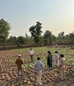 हरा सोना ने बदली जिंदगी, ग्रामीणों के लिए बना आर्थिक संबल