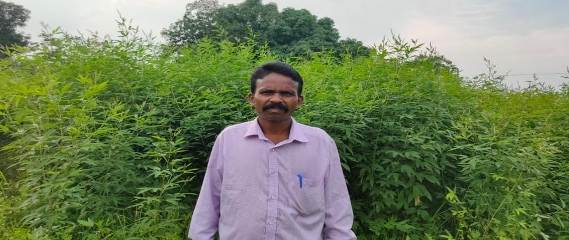 माटी का लाल, समृद्धि की मिसाल- समन्वित खेती अपनाकर नारायणपुर के तिजाराम ने गढ़ी सफलता की नई इबारत