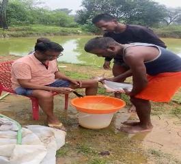 वैज्ञानिक मत्स्य पालन, मछली बीज उत्पादन और हैचरी से बढ़े आय के स्रोत, 15 से अधिक लोगों को मिला रोजगार