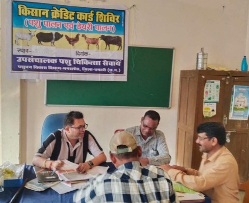 पशुपालन केसीसी से धमतरी के 93 पशुपालकों को मिली 98.62 लाख की वित्तीय संजीवनी