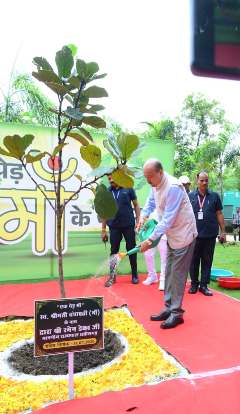 *राज्यपाल ने ‘एक पेड़ मां के नाम’ अभियान के तहत लगाया पौधा*
