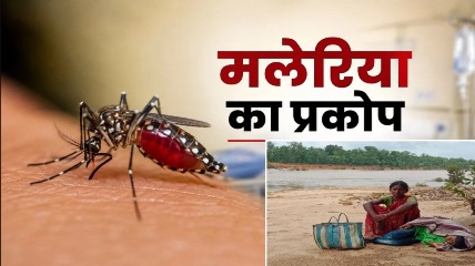 मलेरिया का प्रकोप: स्वास्थ्य सेवाओं का अभाव, इलाज के लिए उफनती नदी पार करने को मजबूर ग्रामीण