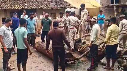 सीमा पार USTR की बड़ी कार्रवाई: ओडिशा में अंतर्राज्यीय सागौन तस्करी का भंडाफोड़, मिली दो साल पहले जब्त इमारती लकड़ी!