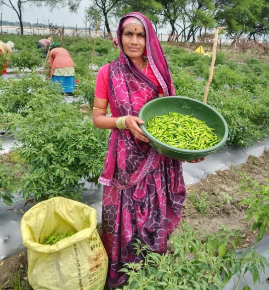 ‘तीखी मिर्च’ से घुली जीवन में मिठास