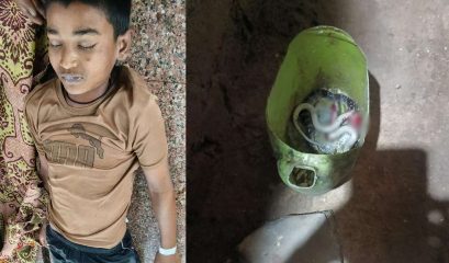 साइलेंट किलर का कहर: सोते समय 13 साल के बच्चे को करैत सांप ने डसा, हुई मौत