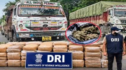 नशे के खिलाफ DRI की बड़ी कार्रवाई, पटना में टीम पर हमला, रायपुर में सबसे बड़ी जब्ती, जानिए कैस हो रही थी देशभर में गांजा तस्करी