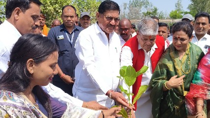 मंत्री दयालदास बघेल ने किया पौधरोपण, दिया पर्यावरण संरक्षण का संदेश – ’’पर्यावरण के बिना जीवन संभव नहीं’’