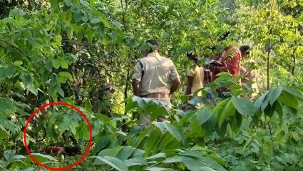 तीन दिन से लापता मासूम बच्ची की मिली लाश, दुष्कर्म के बाद हत्या की आशंका, जांच में जुटी पुलिस